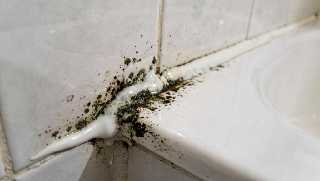 Pleśń na silikonach w łazience: ten sposób usuwa ją trwale, bez wymiany i bez chloru