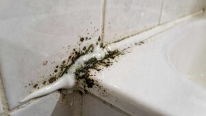 Pleśń na silikonach w łazience: ten sposób usuwa ją trwale, bez wymiany i bez chloru